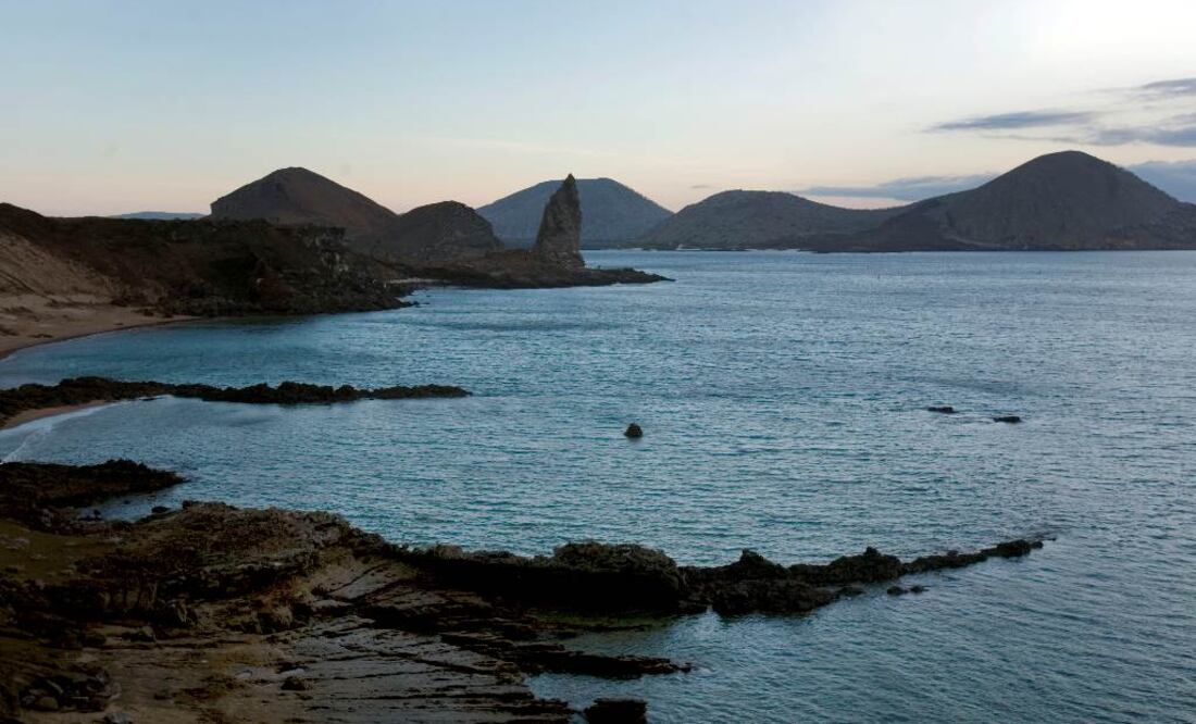 "El Día Mundial de los Océanos es una oportunidad para reforzar nuestra determinación de apreciar, proteger y restaurar nuestros océanos y sus recursos"