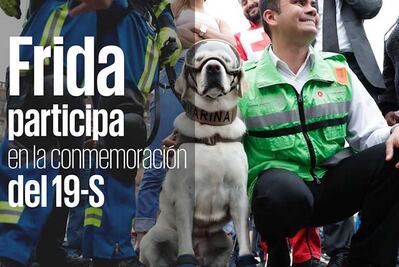 Frida participa en la conmemoración del 19-S