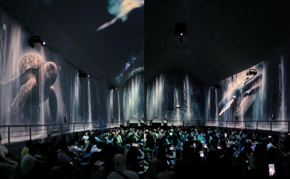 Aqüifera ha ampliado su tiempo de exhibición en Parque Aztlán. Foto: Aqüifera