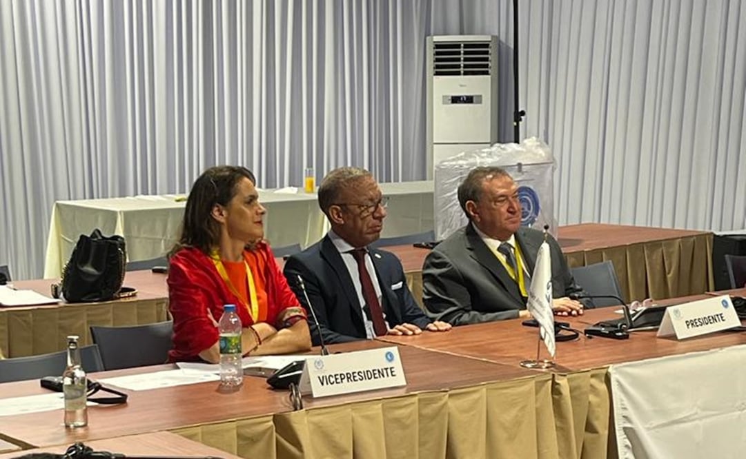 Sofía Carvajal Isunza nueva presidenta del GRULAC-ONU. Foto: Especial.