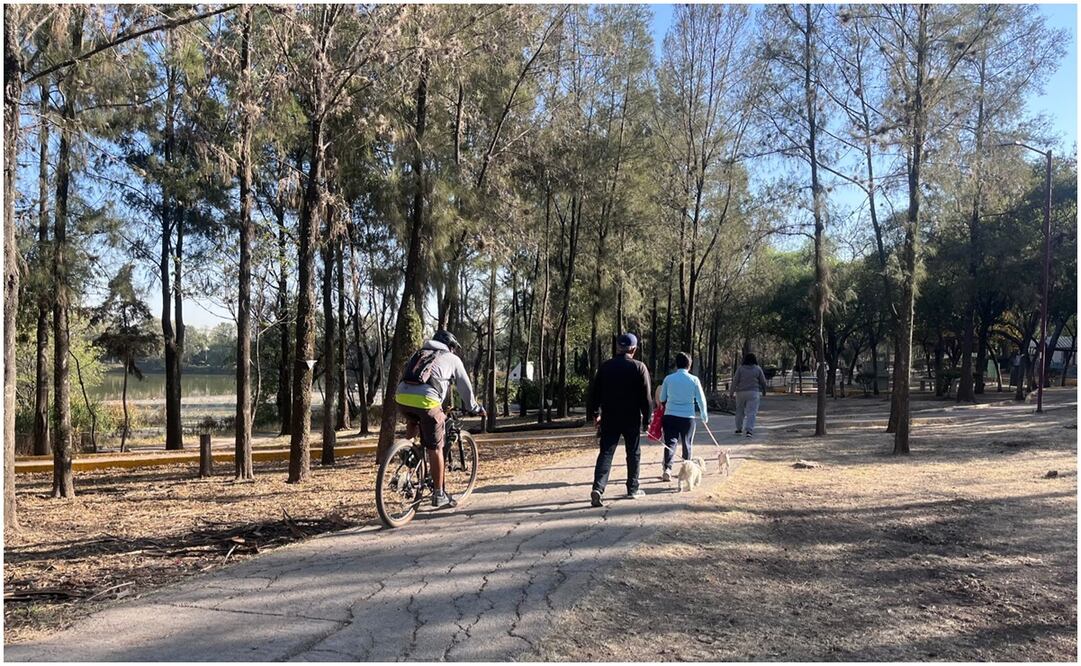 Contingencia ambiental. Foto: Especial