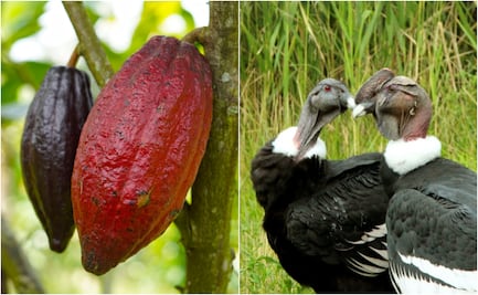 ¿Qué se celebra hoy, 7 de julio?; conoce las efemérides de este día 