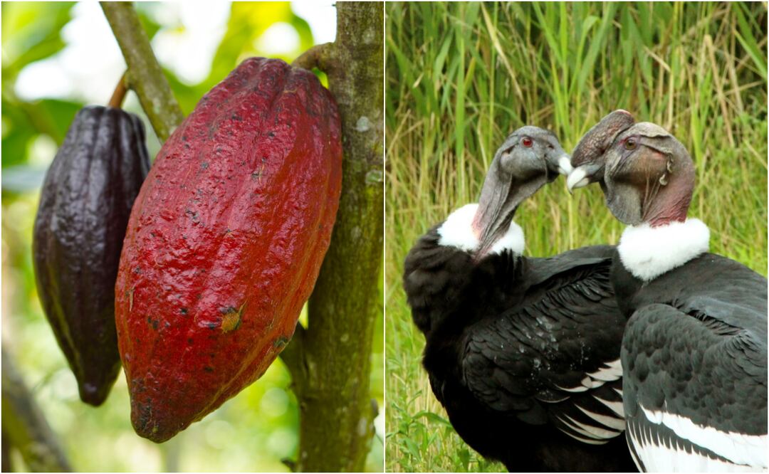 ¿Qué se celebra o conmemora el 7 de julio alrededor del mundo? Foto: Canva