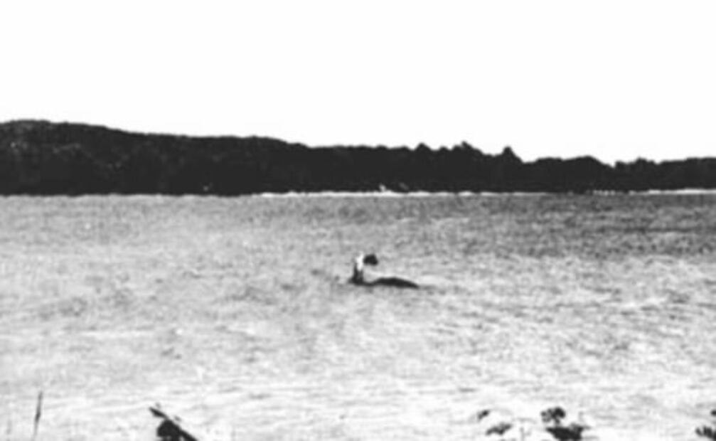 Champ, el monstruo que vive en un lago de Estados Unidos