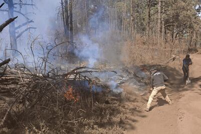 Voluntarios ayudan a combatir el fuego en Jilotzingo
