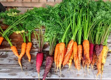 Partes de alimentos que son comestibles y no lo sabías