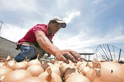 Pirotécnicos de Almoloya buscan reducir accidentes