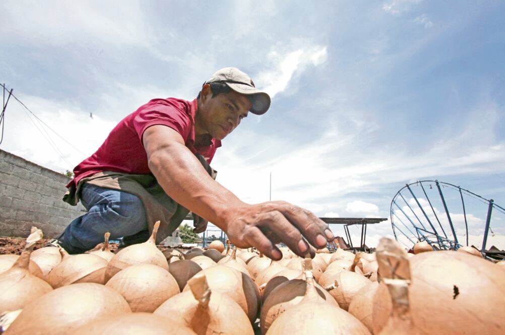 En el taller FAT trabajan hasta 10 personas por polvorín, la mayoría están contratados por proyecto, por lo que una vez terminado deben buscar otro. (FOTOS: JORGE ALVARADO. EL UNIVERSAL)