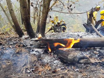 Sofocan incendio forestal en Nuevo León