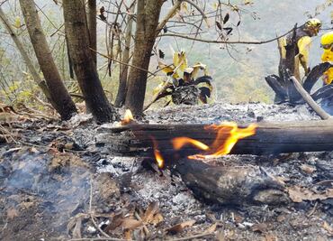 Sofocan incendio forestal en Nuevo León