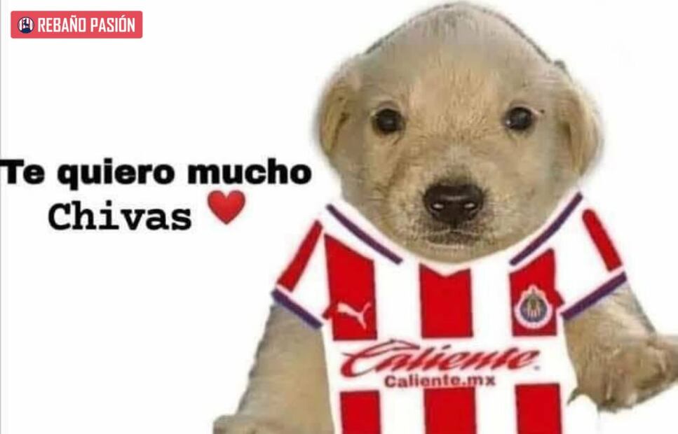 Memes de las Chivas