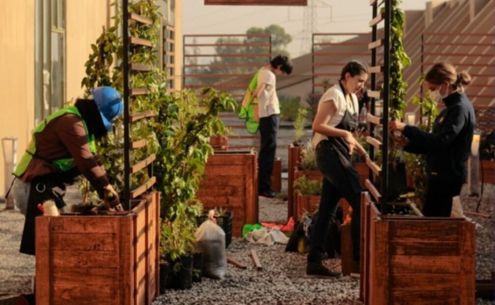 9 cosas que hacer y ver en el FYJA en CDMX