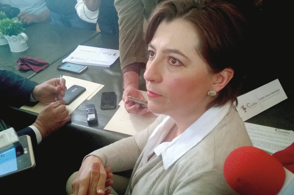 La alcaldesa de Cuautitlán, Guadalupe Fernández Sánchez explicó que en su momento ha dado aviso a las autoridades sobre el hallazgo de tomas ilegales. (JUAN MANUEL BARRERA. EL UNIVER)