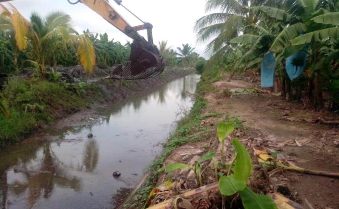 Foto: tomada de Twitter @JaliscoSEDER