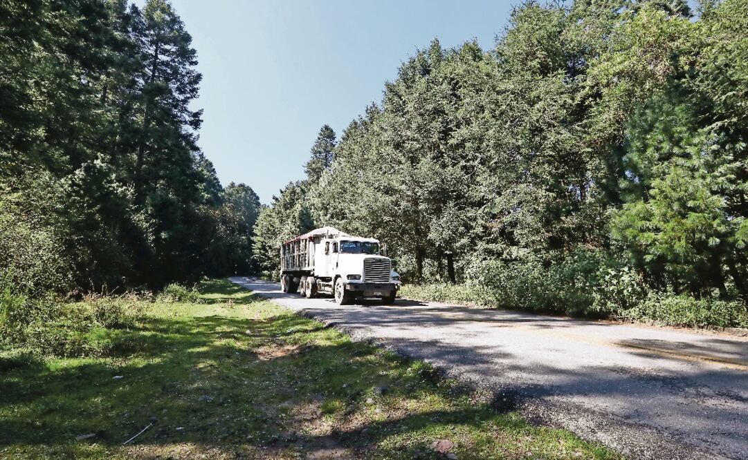 Fotografía: Archivo