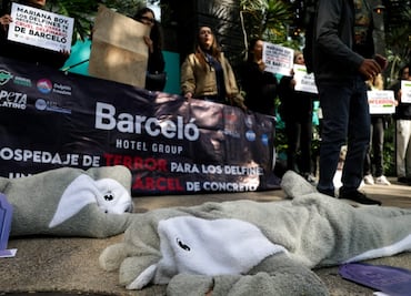 Profepa denuncia múltiples negligencias en el delfinario del Hotel Barceló; pese a incapacidad, hicieron trabajar al delfín Mincho