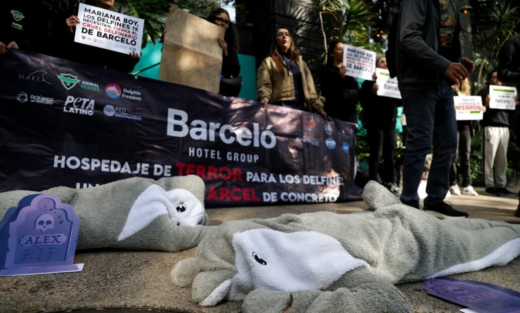 Activistas en Barceló Reforma pidieron a la titular de la Profepa cerrar el delfinario de Barceló Riviera Maya, tras el maltrato que se observa en un video que circuló en redes sociales. Foto: Carlos Mejía/EL UNIVERSAL