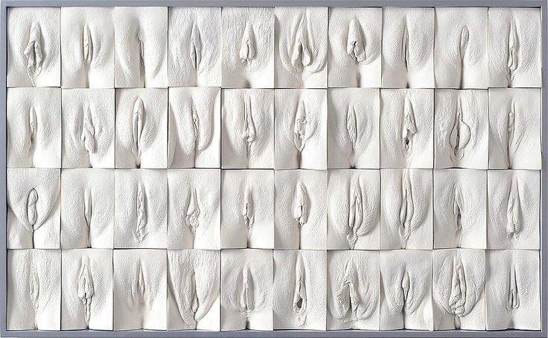 The Great Wall of Vagina, de Jamie McCartney. Foto: Facebook Vagina Museum 