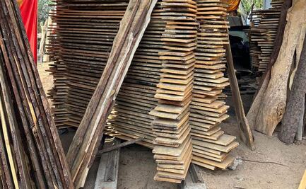 FGR realiza cateos por aprovechamiento ilegal de madera en Acaxochitlán, Hidalgo; lugares operaban sin permisos