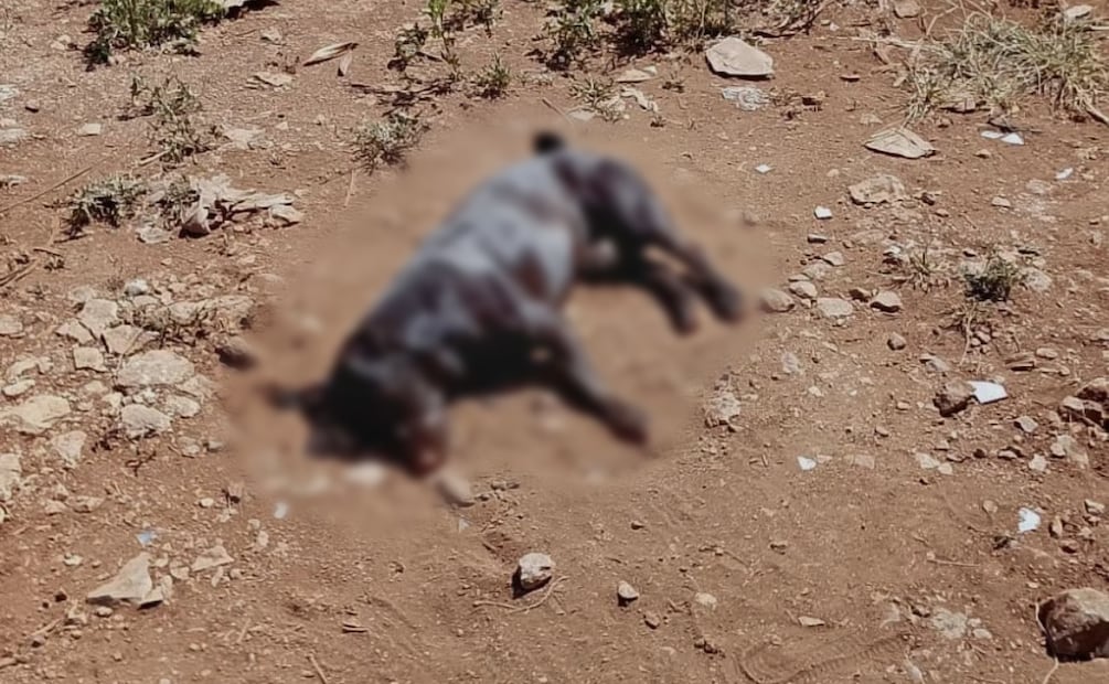 Los habitantes de la comunidad advirtieron que interpondrán una denuncia ante la Fiscalía General del Estado.| Foto: Especial.