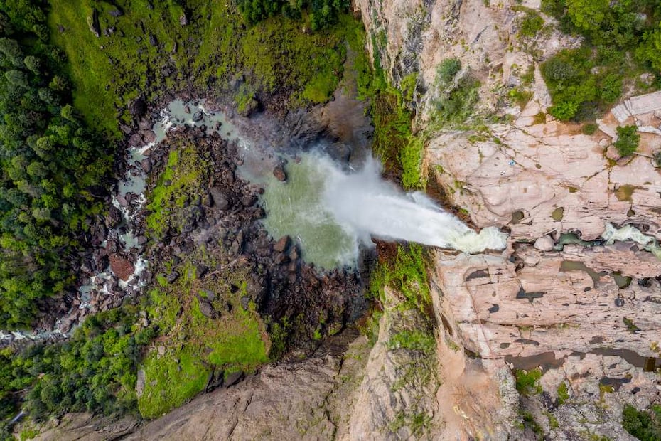 Foto: Fidetur ¡Ah Chihuahua!