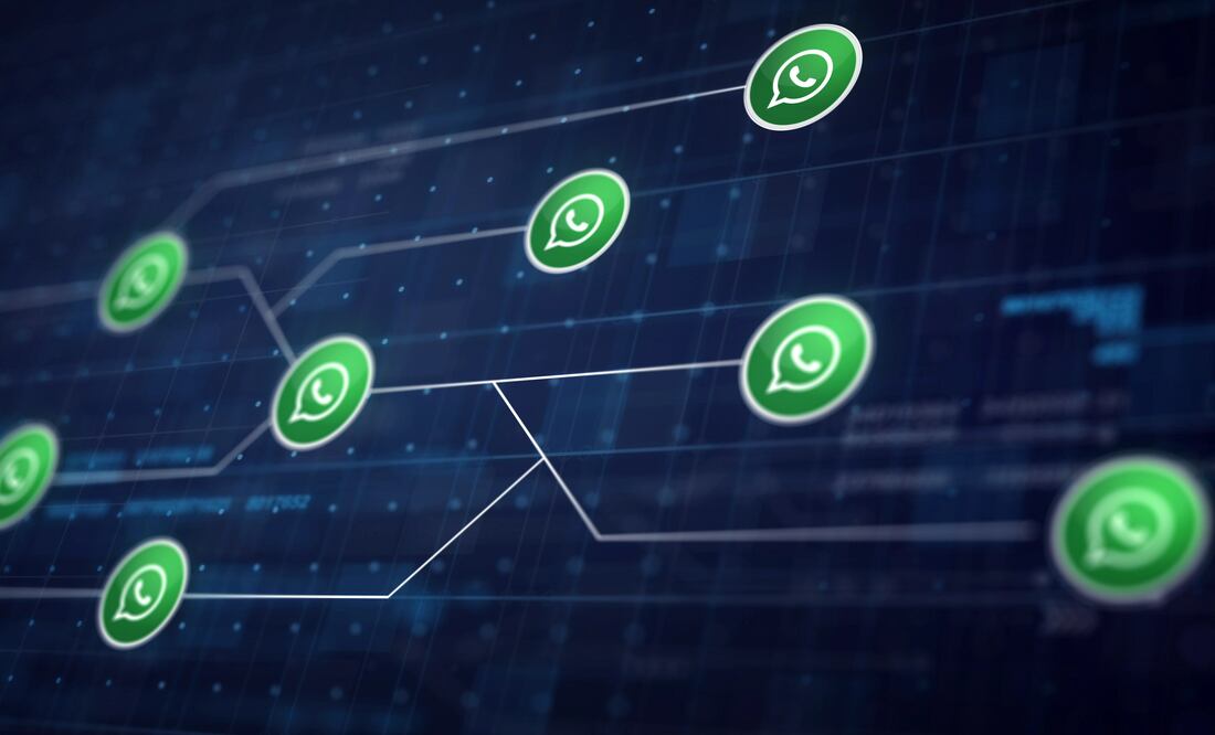 Te decimos los riesgos de no eliminar contactos antiguos en WhatsApp. Foto: Freepik