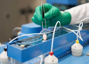 Píldora de Pfizer reduce muertes, hospitalización por Covid y es efectiva contra ómicron