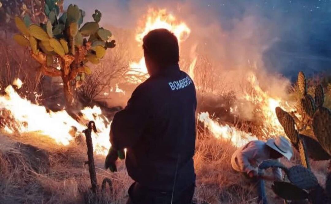 Bomberos trabajan en los trabajos para sofocar al menos 4 incendios en dos municipios de Hidalgo (11/04/2025). Foto: Especial