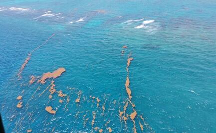 Recolecta Semar 13 mil toneladas de sargazo en playas de Quintana Roo