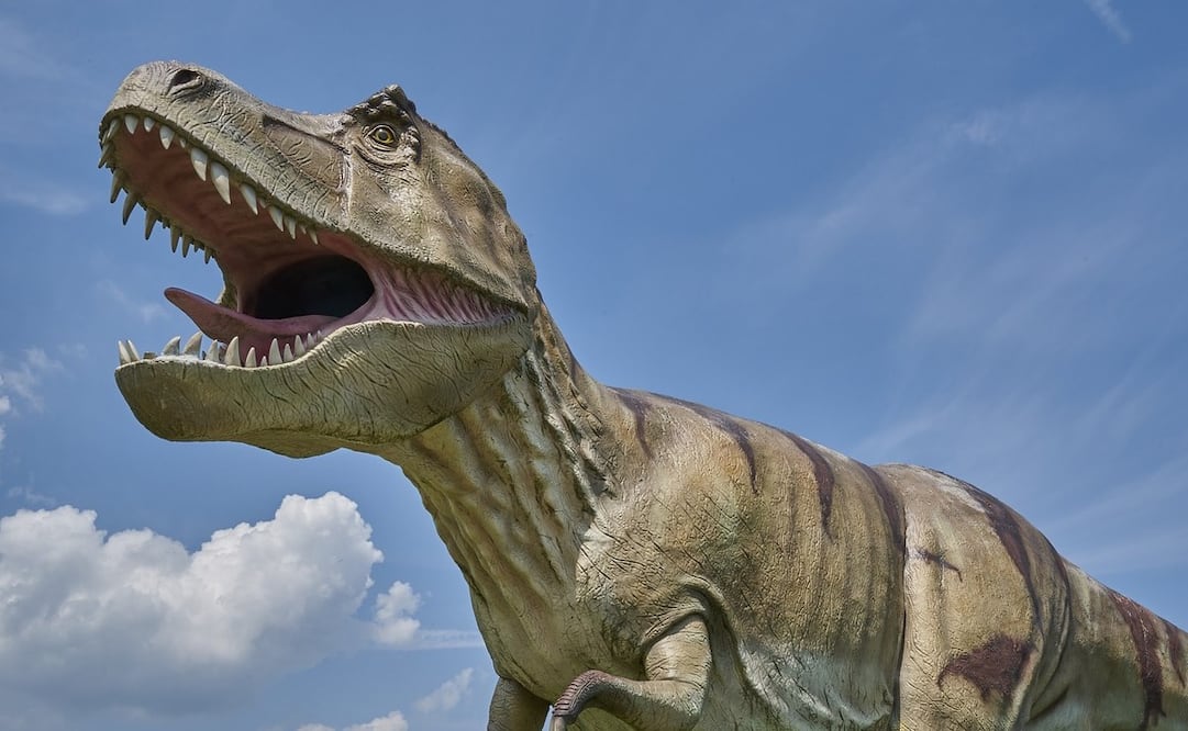 En la Utopía Hermanos Galeana habrá réplicas de dinosaurios gigantes. Foto: Pixabay