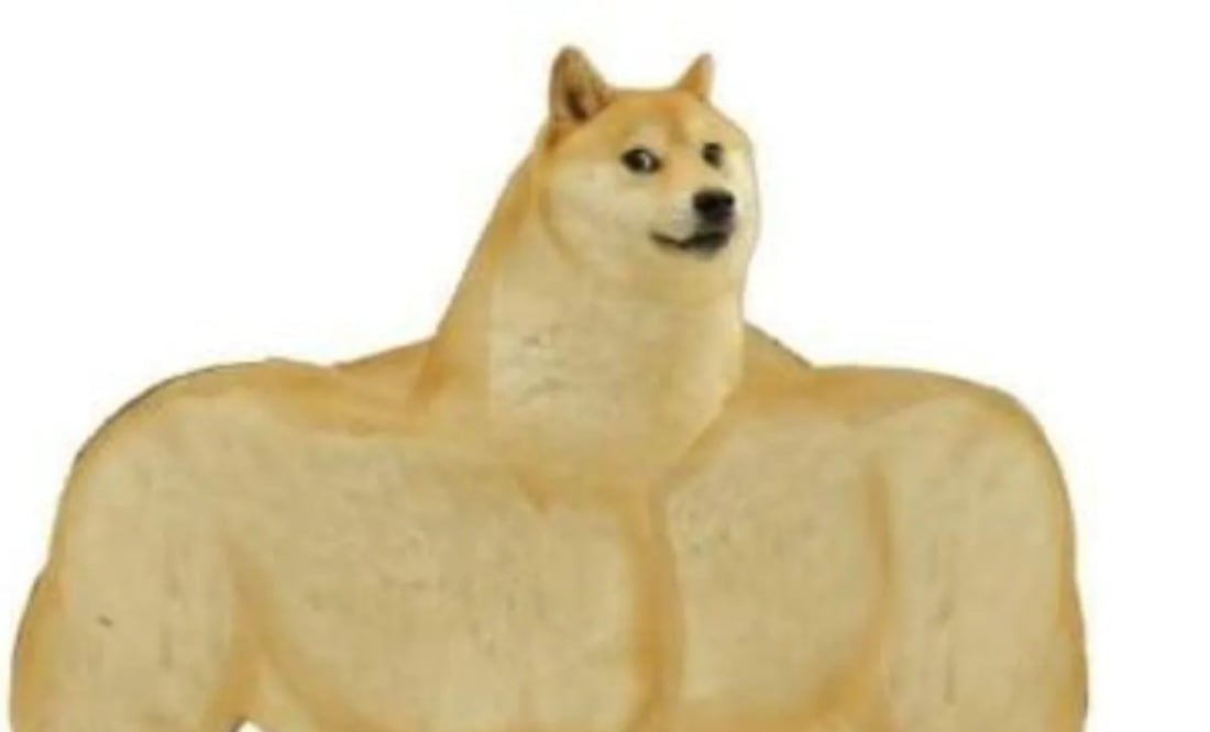 Los mejores memes de cheems, el perrito que nos muestra el antes y el ahora