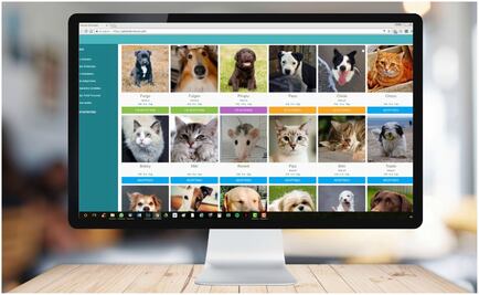 Miwuki Pet Shelter; el Tinder para mascotas