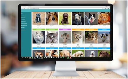 Miwuki Pet Shelter; el Tinder para mascotas
