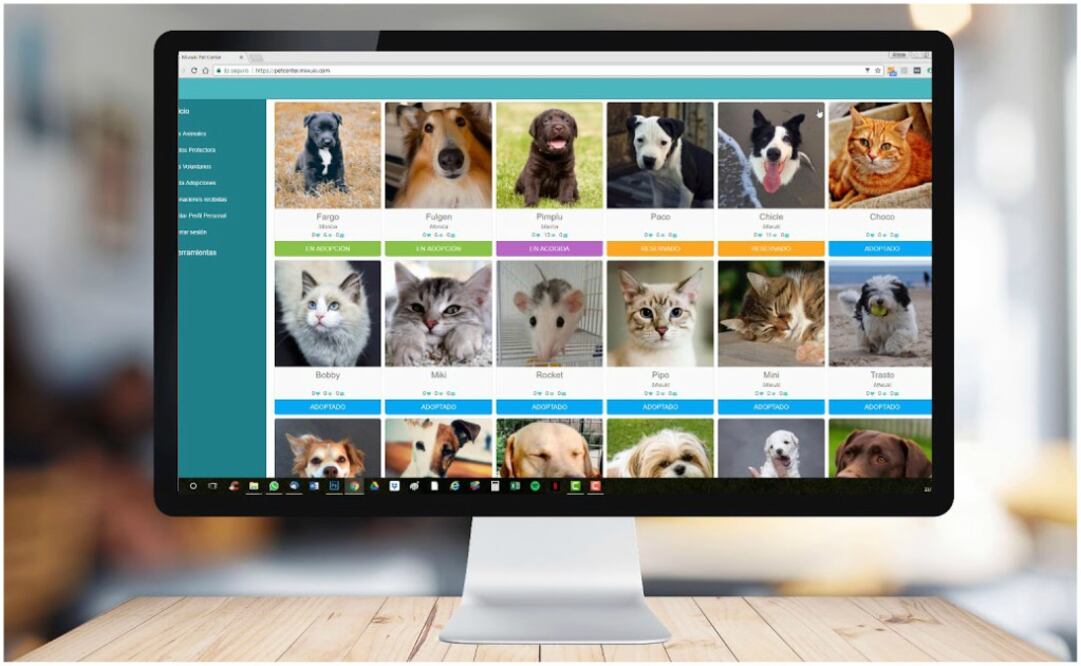 Adopta a tu nuevo mejor amigo gracias a Miwuki Pet Shelter