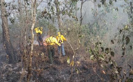 Muere hombre en incendio forestal en Veracruz 