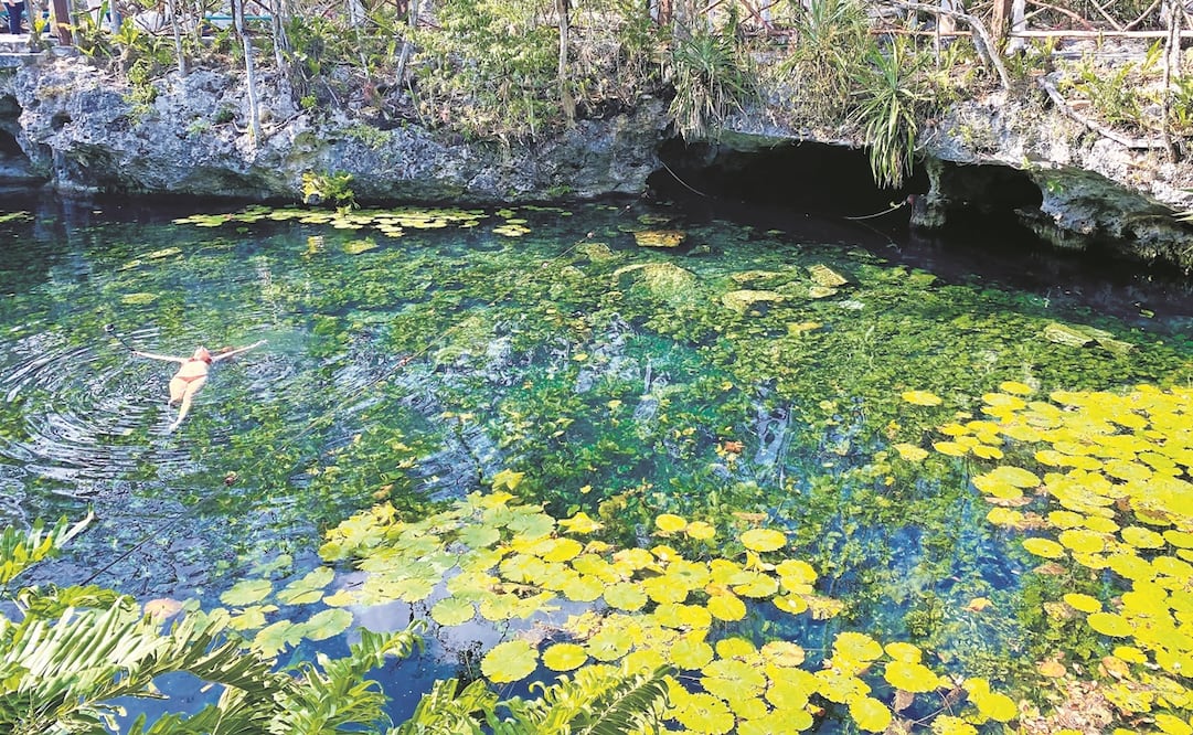 Al norte de Tulum está el Parque Dos Ojos, conformado por un par de cenotes, donde la mayoría de los visitantes son de origen extranjero.