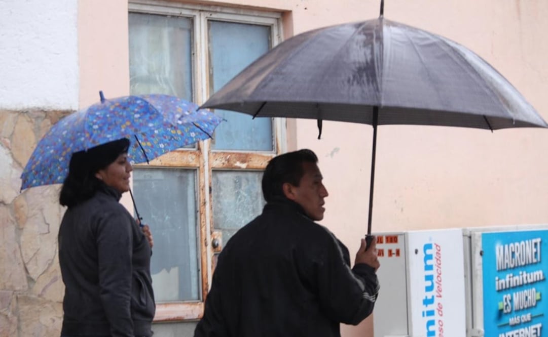 Fotografía: Jorge Alvarado/ EL UNIVERSAL