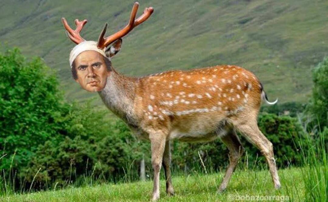 Foto: Twitter @bobazcarraga