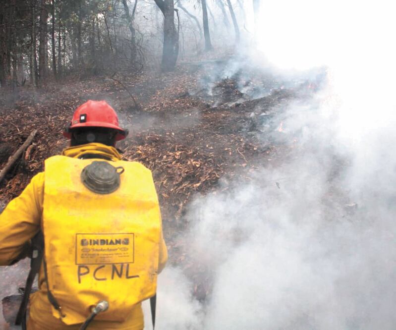 En tierra, cerca de 600 elementos combaten el fuego. Foto: ESPECIAL