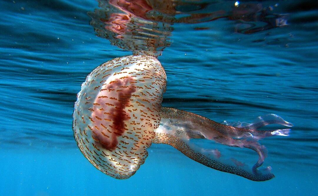 Foto: Reuters