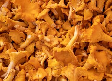 Setas al pastor, una receta saludable y vegana