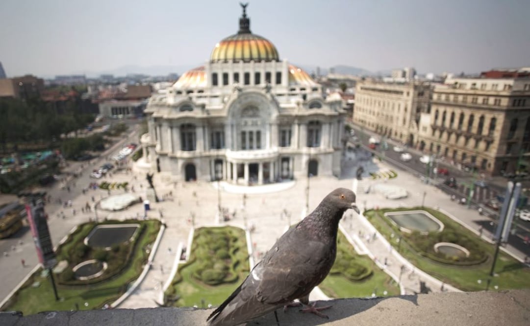 Turismo promociona a DF en Panamá