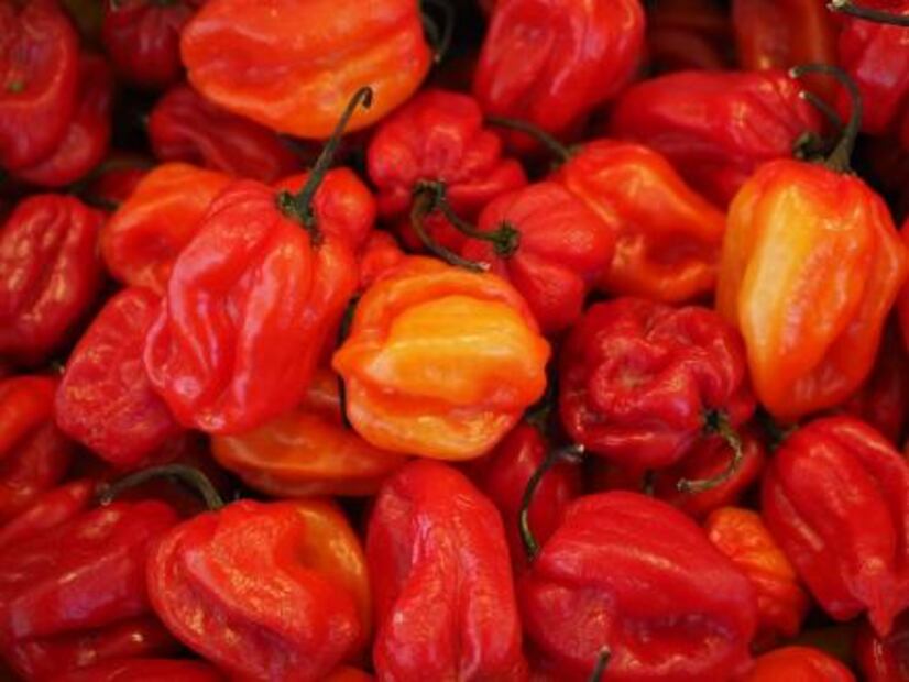 El chile más picante del mundo puede ocasionarte la muerte