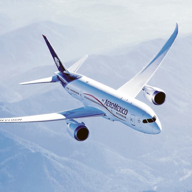 Castigo. La multa más fuerte que impuso la Cofece fue contra Aeroméxico, por 86 millones 190 mil pesos. ARCHIVO EL UNIVERSAL