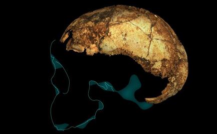 Fósil de cráneo revela que Homo erectus es 200 mil años más antiguo de lo que se creía