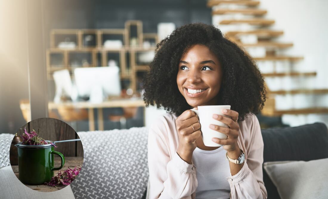 La planta medicinal que fortalece tus defensas. Foto: El Universal