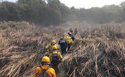 Incendio daña más de 900 hectáreas en La Encrucijada, Chiapas