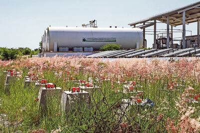 Biodiesel. Planta de 36 mdp, engaño ambiental