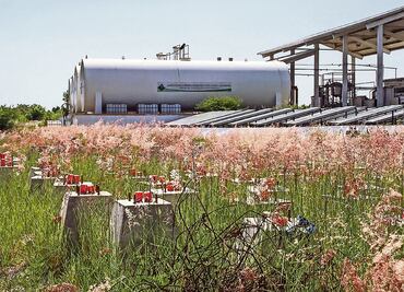 Biodiesel. Planta de 36 mdp, engaño ambiental