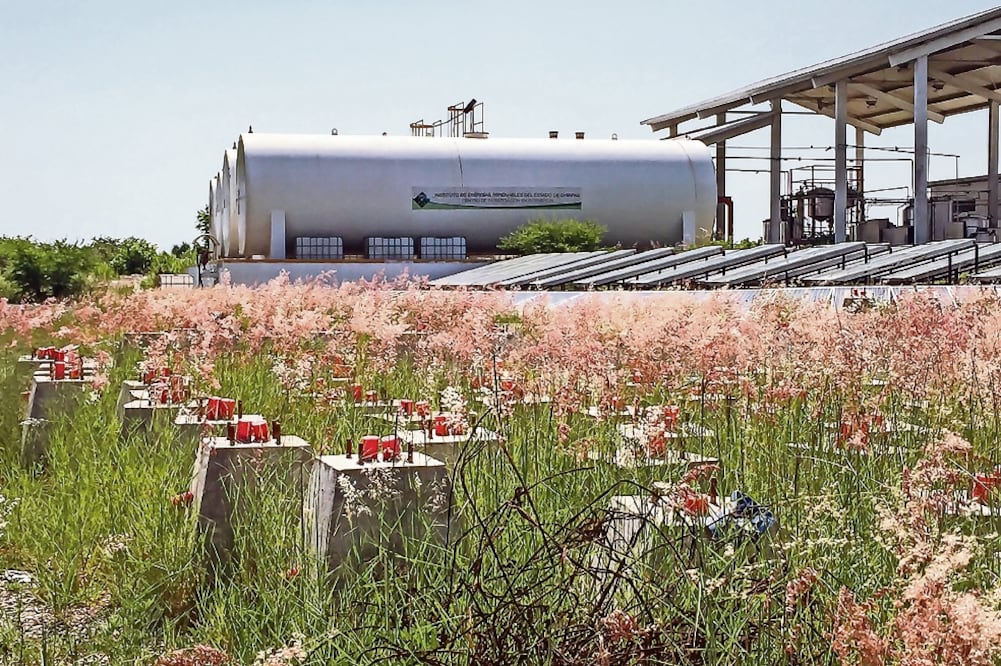 Desde principios de 2010, el entonces gobernador Juan Sabines contactó a organizaciones ambientalistas de Estados Unidos, para sembrar más de 40 mil hectáreas de jatropha, una planta nativa de México, que serviría para producir el biodiesel. (Fredy Martí)